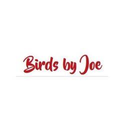 Birds by Joe