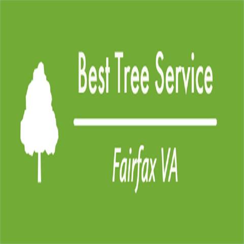 Best Tree Service Fairfax VA