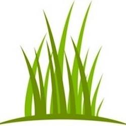 Weald Artificial Grass West Sussex