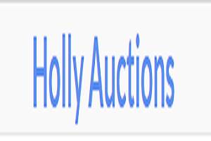 Holly Auctions, Inc.